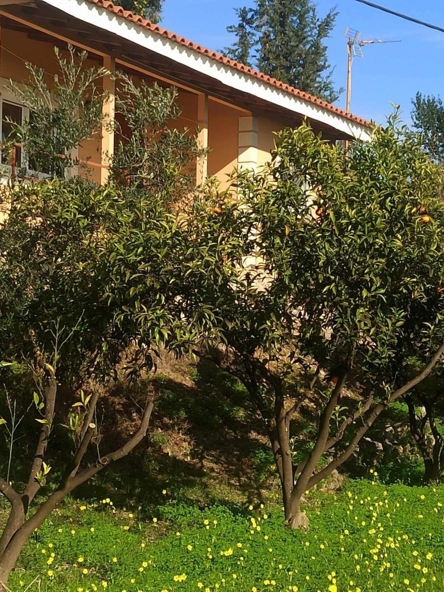 Takis & Eirini Family Apartments Perama  Buitenkant foto